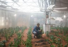 A real life space botanist comments on the potato garden in ‘The Martian’ A real life space botanist comments on the potato garden in 'The Martian'