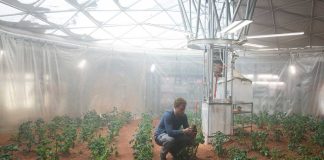 A real life space botanist comments on the potato garden in ‘The Martian’ A real life space botanist comments on the potato garden in 'The Martian'