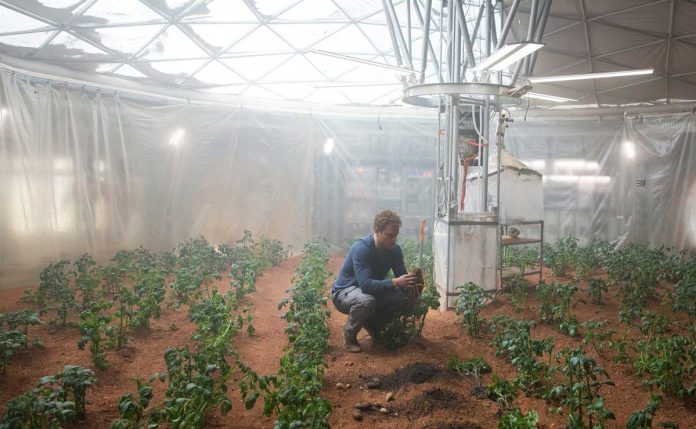 A real life space botanist comments on the potato garden in 'The Martian'