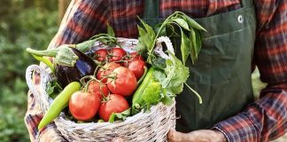 What Are Nightshade Vegetables? Exploring Their Varieties, Benefits, and Risks What Are Nightshade Vegetables? Exploring Their Varieties, Benefits, and Risks