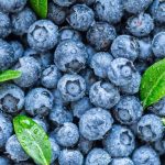 What Are the Health Benefits of Blueberries? Exploring the Superfruit’s Impact on Wellness What Are the Health Benefits of Blueberries? Exploring the Superfruit's Impact on Wellness
