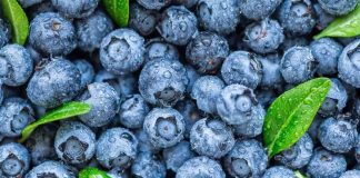 What Are the Health Benefits of Blueberries? Exploring the Superfruit’s Impact on Wellness What Are the Health Benefits of Blueberries? Exploring the Superfruit's Impact on Wellness