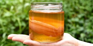 What Are the Benefits of Kombucha? What Are the Benefits of Kombucha?