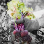 What are the benefits of potassium for human health? What are the benefits of potassium for human health?