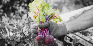 What are the benefits of potassium for human health? What are the benefits of potassium for human health?