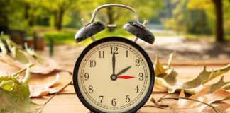 When Do the Clocks Go Back 2024? Everything You Need to Know! When Do the Clocks Go Back 2024? Everything You Need to Know!