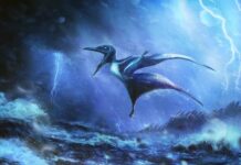 150-Million-Year Post-Mortem: Baby Pterosaurs Killed in Ancient Storms 150-Million-Year Post-Mortem: Baby Pterosaurs Killed in Ancient Storms