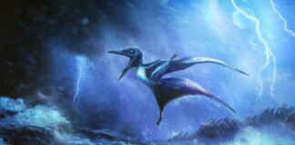 150-Million-Year Post-Mortem: Baby Pterosaurs Killed in Ancient Storms 150-Million-Year Post-Mortem: Baby Pterosaurs Killed in Ancient Storms
