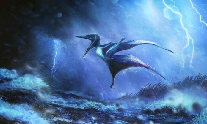 150-Million-Year Post-Mortem Baby Pterosaurs Killed in Ancient Storms 150-Million-Year Post-Mortem: Baby Pterosaurs Killed in Ancient Storms