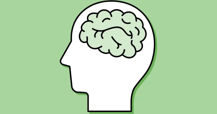 Born of Evolution: Why Autism May Be a Byproduct of the Human Brain’s Uniqueness