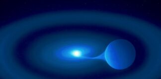 Cosmic Cannibal: A Star Devours Its Twin in a Spectacular Celestial Feast Cosmic Cannibal: A Star Devours Its Twin in a Spectacular Celestial Feast