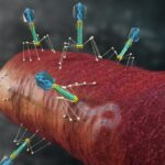 Cracking the Phage Code: RNA Technology Unlocks Bacterial Virus Secrets Cracking the Phage Code: RNA Technology Unlocks Bacterial Virus Secrets