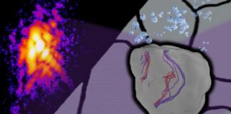 Cracks in the Future: How Hydrogen Reshapes Steel from the Inside Out Cracks in the Future: How Hydrogen Reshapes Steel from the Inside Out