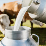 Dairy Under Pressure: Growth Meets Uncertainty Dairy Under Pressure: Growth Meets Uncertainty