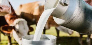Dairy Under Pressure: Growth Meets Uncertainty Dairy Under Pressure: Growth Meets Uncertainty