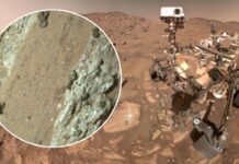 Mars Mystery: Rover Finds Possible Signs of Ancient Life NASA says rock sample from Mars has potential 'biosignature' of life