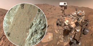 Mars Mystery: Rover Finds Possible Signs of Ancient Life NASA says rock sample from Mars has potential 'biosignature' of life