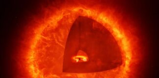 Red Dots in the Dawn Sky Could Be Black Hole Stars Red Dots in the Dawn Sky Could Be Black Hole Stars