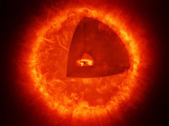 Red Dots in the Dawn Sky Could Be Black Hole Stars