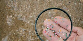 Researchers Unveil Tool to Spot Hidden Microplastics Researchers Unveil Tool to Spot Hidden Microplastics