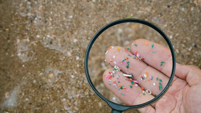 Researchers Unveil Tool to Spot Hidden Microplastics Researchers Unveil Tool to Spot Hidden Microplastics