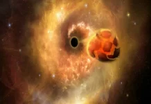 The Chaotic Appetite of Black Holes The Chaotic Appetite of Black Holes