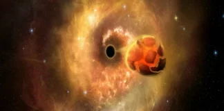 The Chaotic Appetite of Black Holes The Chaotic Appetite of Black Holes