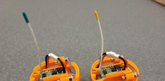 The Geometry of the Swarm: Unlocking Nature’s Secret to Collective Intelligence The Geometry of the Swarm: Unlocking Nature’s Secret to Collective Intelligence