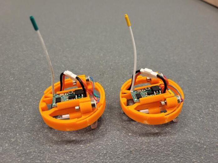 The Geometry of the Swarm: Unlocking Nature’s Secret to Collective Intelligence