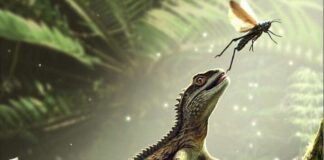Tiny Fossil, Big Rethink: Devon Discovery Rewrites Lizard Origins Tiny Fossil, Big Rethink: Devon Discovery Rewrites Lizard Origins