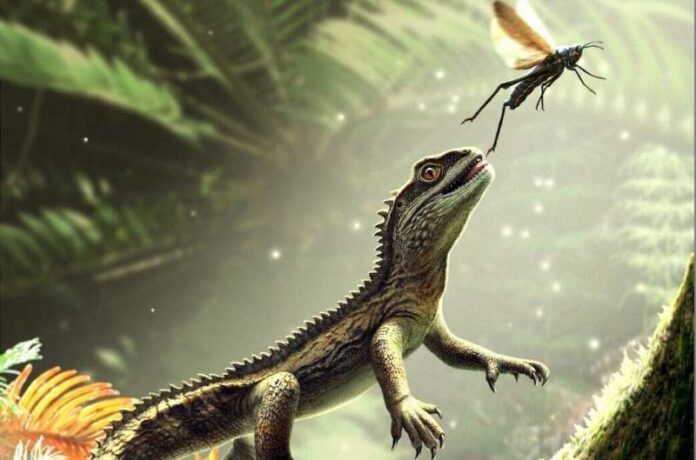 Tiny Fossil, Big Rethink: Devon Discovery Rewrites Lizard Origins