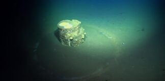 Toxic Barrels Off Los Angeles Still Haunting the Ocean Floor Toxic Barrels Off Los Angeles Still Haunting the Ocean Floor