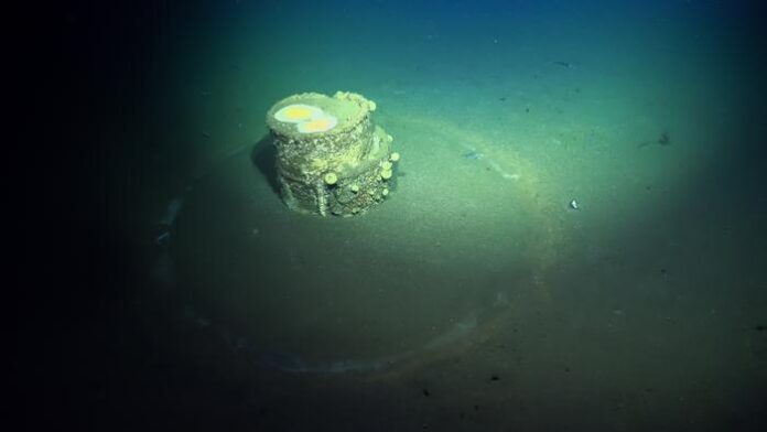 Toxic Barrels Off Los Angeles Still Haunting the Ocean Floor
