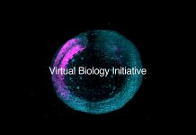 Biohub Unveils $500 Million Global Initiative to Build AI Models of Human Cells Biohub Unveils $500 Million Global Initiative to Build AI Models of Human Cells
