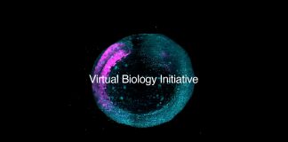 Biohub Unveils $500 Million Global Initiative to Build AI Models of Human Cells Biohub Unveils $500 Million Global Initiative to Build AI Models of Human Cells