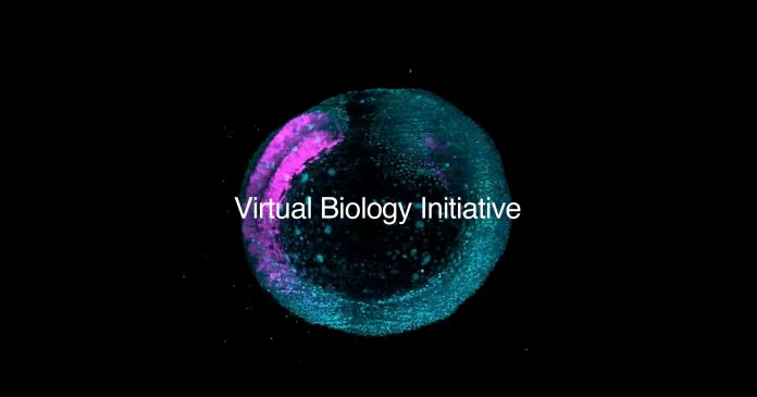 Biohub Unveils $500 Million Global Initiative to Build AI Models of Human Cells
