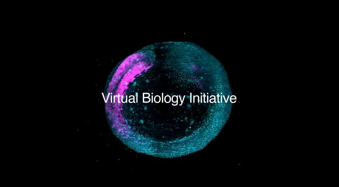 Biohub Unveils $500 Million Global Initiative to Build AI Models of Human Cells Biohub Unveils $500 Million Global Initiative to Build AI Models of Human Cells