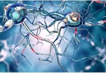 Breakthrough Bioelectronic Interface Could Transform Long-Term Vagus Nerve Therapy Breakthrough Bioelectronic Interface Could Transform Long-Term Vagus Nerve Therapy