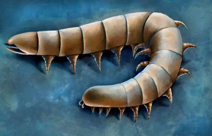 Ancient Fossils Reveal Millipede Ancestors Evolved Legs Underwater