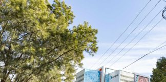 Community battery systems emerge as key solution for renewable energy grid stability Community battery systems emerge as key solution for renewable energy grid stability