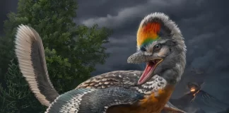 Dinosaur Fossils Suggest Ancient Parenting Behaviors Similar to Modern Birds Dinosaur Fossils Suggest Ancient Parenting Behaviors Similar to Modern Birds