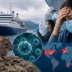 Hantavirus Symptoms Raise Global Concern After Cruise Ship Outbreak