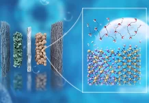Scientists Develop Cheaper Platinum-Free Catalyst for Clean Hydrogen Fuel Scientists Develop Cheaper Platinum-Free Catalyst for Clean Hydrogen Fuel