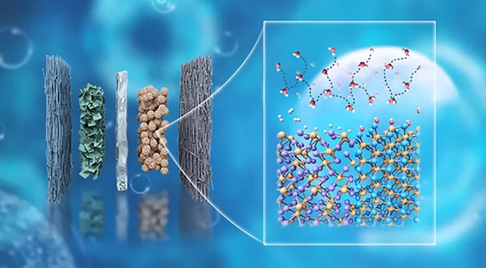 Scientists Develop Cheaper Platinum-Free Catalyst for Clean Hydrogen Fuel Scientists Develop Cheaper Platinum-Free Catalyst for Clean Hydrogen Fuel