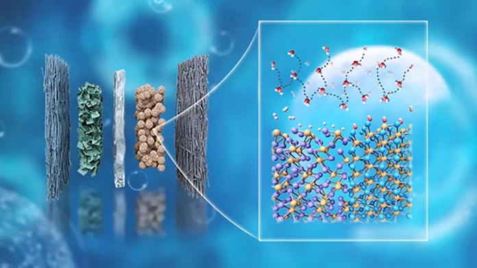 Scientists Develop Cheaper Platinum-Free Catalyst for Clean Hydrogen Fuel Scientists Develop Cheaper Platinum-Free Catalyst for Clean Hydrogen Fuel