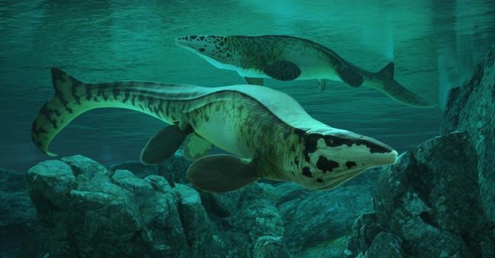 Scientists Discover Massive New Sea Predator Named Tylosaurus rex