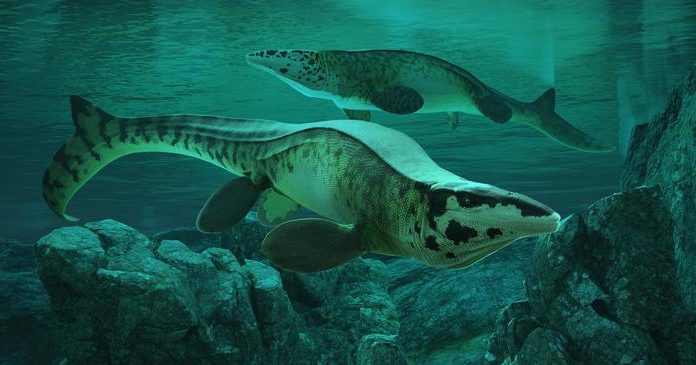 Scientists Discover Massive New Sea Predator Named Tylosaurus rex Scientists Discover Massive New Sea Predator Named Tylosaurus rex