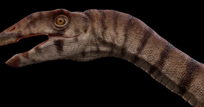 Scientists uncover bizarre two-legged crocodile relative from the Triassic