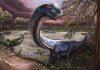 Southeast Asia’s largest dinosaur species discovered in Thailand Southeast Asia’s largest dinosaur species discovered in Thailand
