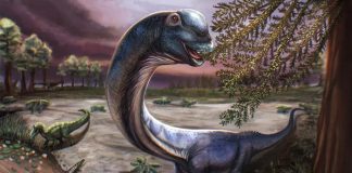 Southeast Asia’s largest dinosaur species discovered in Thailand Southeast Asia’s largest dinosaur species discovered in Thailand